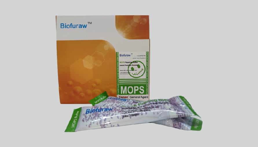 Biofuraw™ MOPS Running Buffer Ӿ_Һ