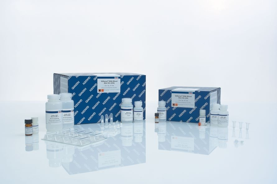 QIAamp DNA Blood Mini Kit (250)血液基因組DNA提取試劑盒