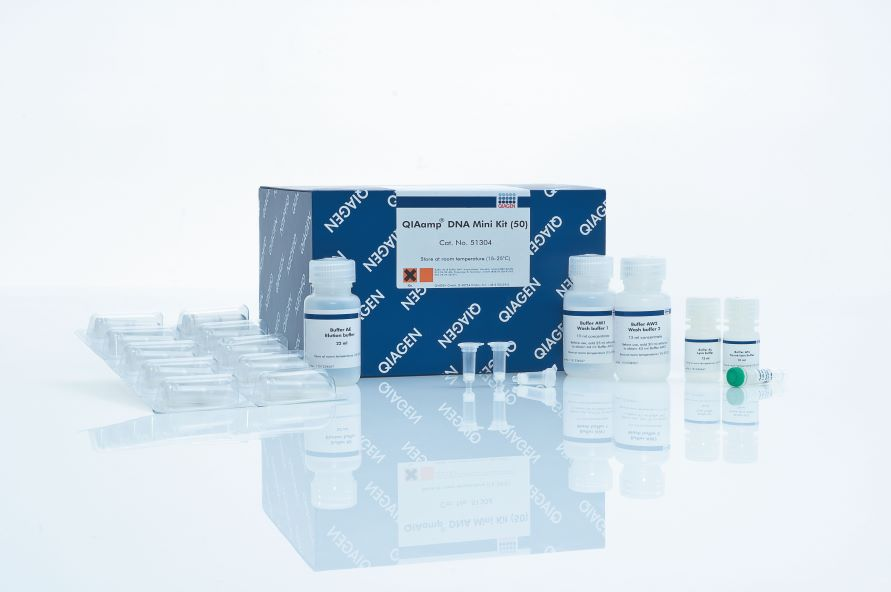 QIAamp DNA Mini Kit (50)基因組DNA提取試劑盒