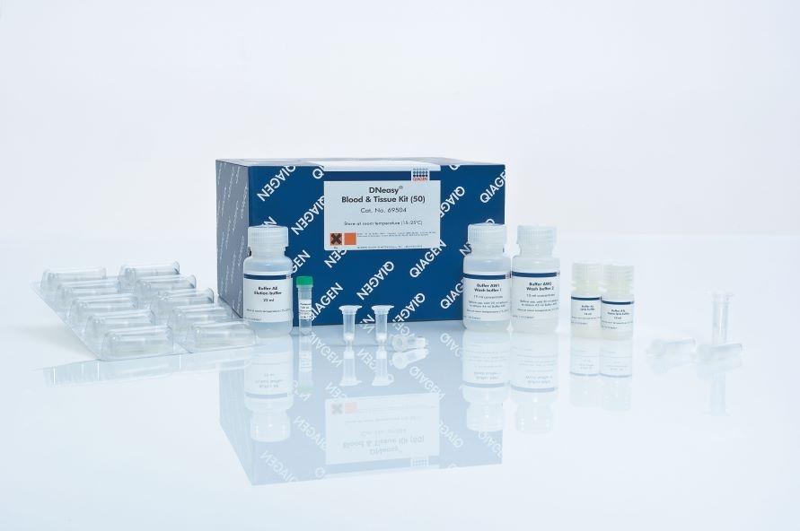 DNeasy Blood & Tissue Kit (50)血液/組織基因組DNA提取試劑盒