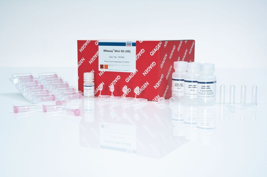 RNeasy Mini Kit (50)總RNA提取試劑盒